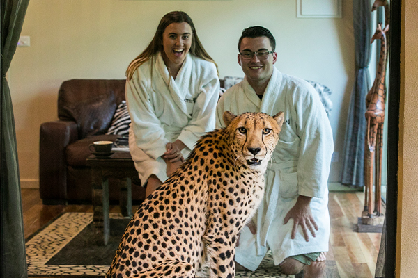 Guests with a Cheeta