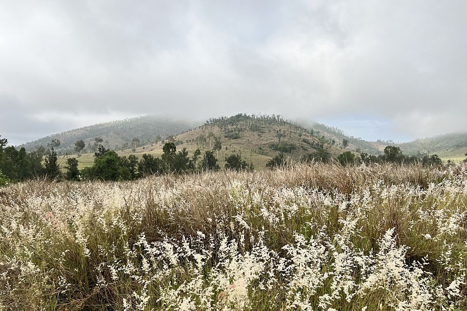 FH009273 image 9