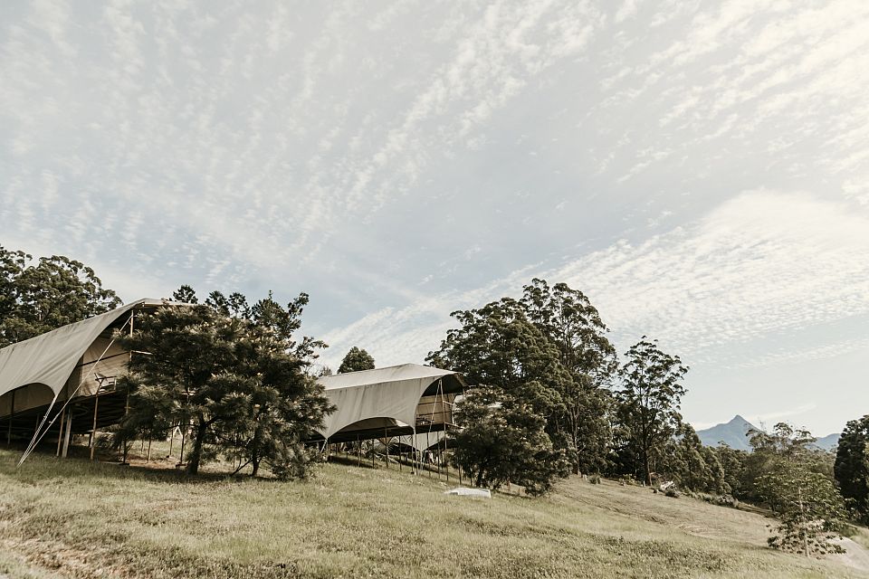 FH009330 image 5