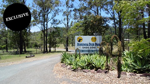 Freehold Going Concern, Caravan / Cabin Park | QLD - Sunshine Coast | SEQ Freehold Caravan Park and Camp Ground - 25.99 Hectares Creek Frontage