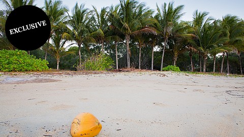 Freehold Going Concern, Caravan / Cabin Park | QLD - Cairns | Sensational fishing, 4WD adventures, Rainforest Tranquillity. 