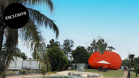 Freehold Going Concern, Caravan / Cabin Park | QLD - Central | Freehold Citrus Belt Caravan Park - 88 Sites, 19% Returns, Expansion Upside