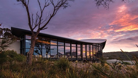 Business Of Creating Emotional Connections