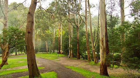 Freehold Going Concern, Caravan / Cabin Park | VIC - Gippsland | Freehold Riverside Retreat on 10 acres generating $268K revenue