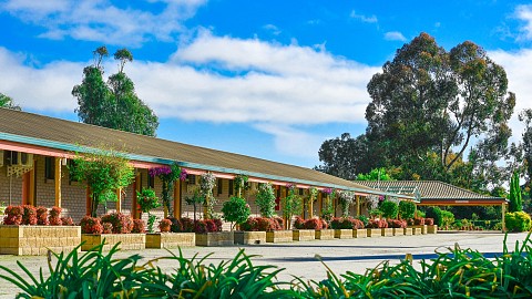 Leasehold, Motel | NSW - Murray | Strong-Performing 37-Room Motel in the Murray River Region
